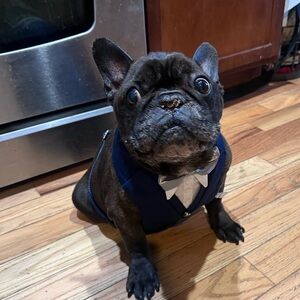 Meet your Posher, Christina